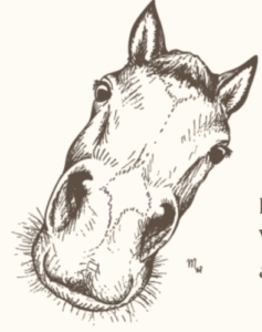 Captura de pantalla 2025-06-18 a las 0.06.31