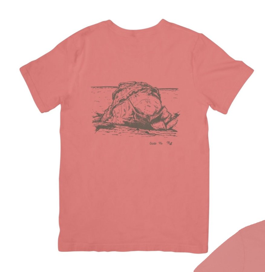 Captura de pantalla 2025-11-01 a las 16.24.43