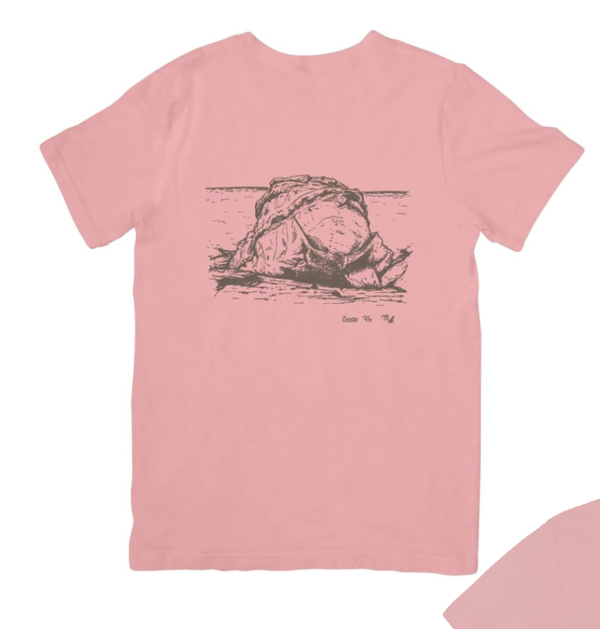 Captura de pantalla 2025-11-01 a las 16.25.03